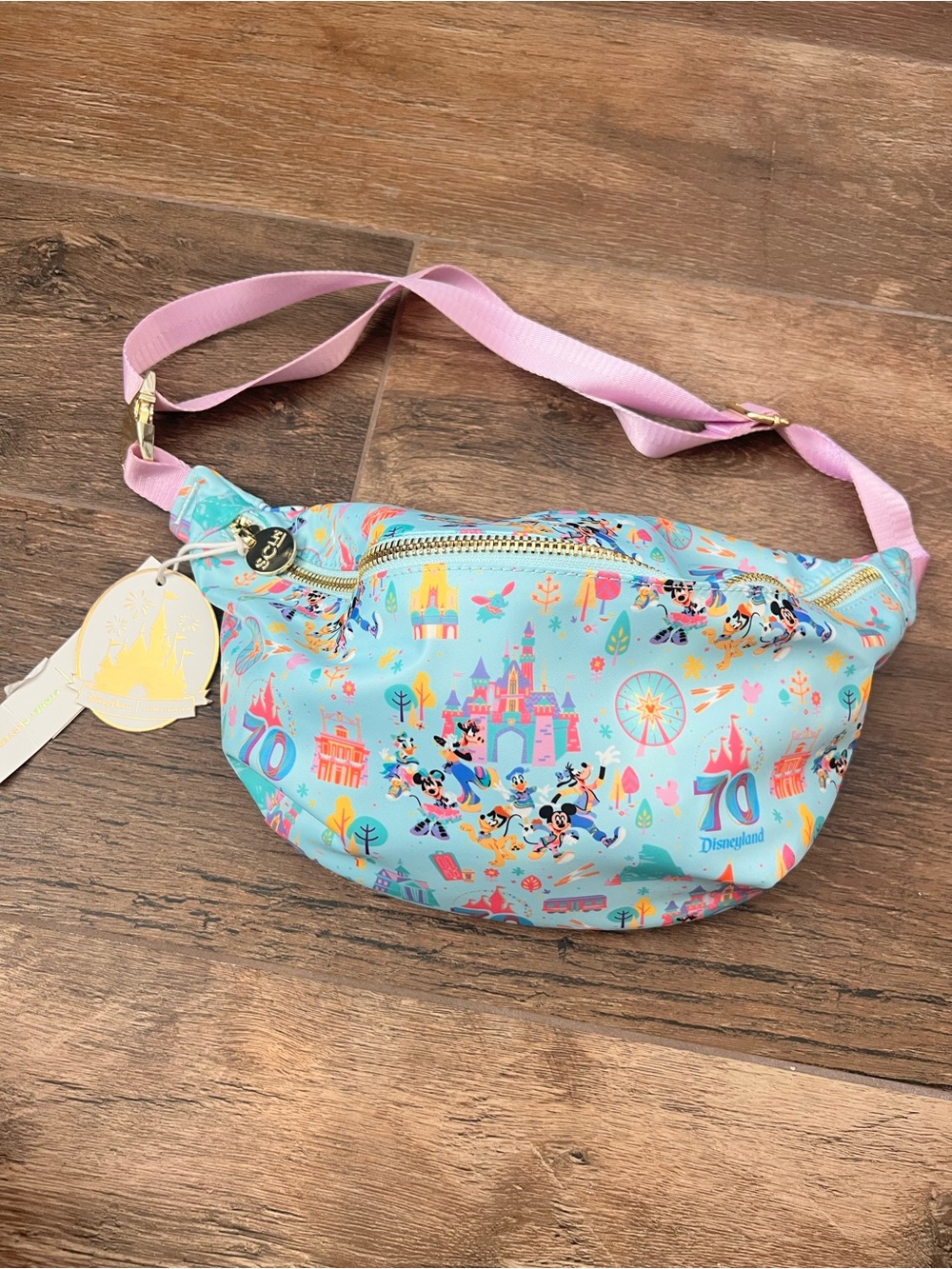 Disney x Stoney Clover Lane Disneyland 70th Anniversary Jumbo Hip Pack Fanny Bag
